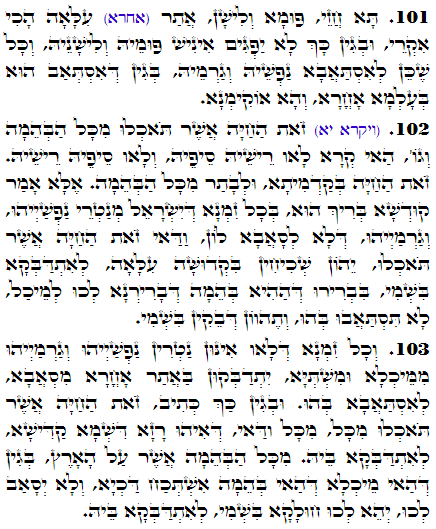 Holy Zohar text. Daily Zohar -3316