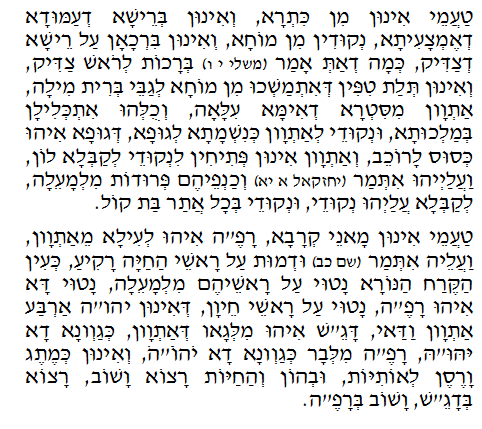 Holy Zohar text. Daily Zohar -101.