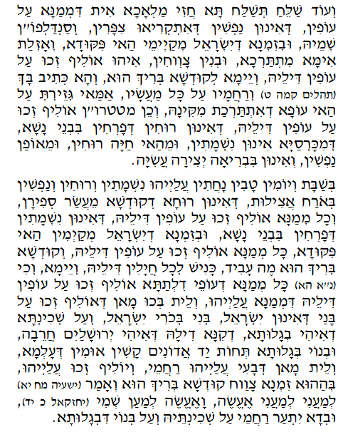Holy Zohar text. Daily Zohar -117.