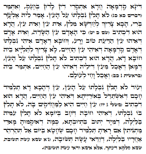 Holy Zohar text. Daily Zohar -1029