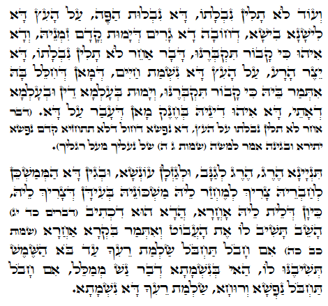 Holy Zohar text. Daily Zohar -1033