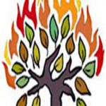 Daily Zohar # 1602 – Shoftim – The Burning Bush