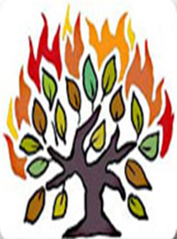 Daily Zohar # 1602 – Shoftim – The Burning Bush