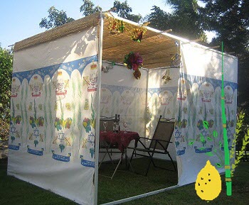 Daily Zohar # 1636 – Zohar Sukkot – Sukkah and Lulav