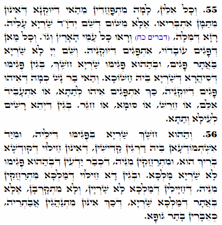 Holy Zohar text. Daily Zohar -2445